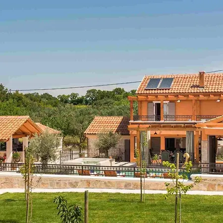 Luxury Finessa 1 With Heated Pool, Jacuzzi And Sauna Villa Skradin